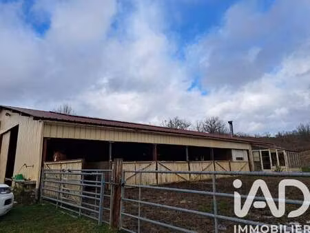 vente maison à festes-et-saint-andré (11300) : à vendre / 48m² festes-et-saint-andré