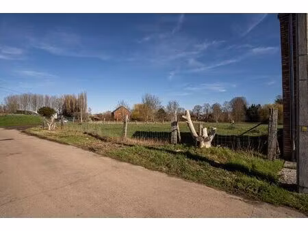terrain à vendre à rue du culot quaregnon (vbd92281)