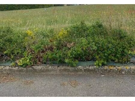 vente terrain à saint-valérien (85570) : à vendre / saint-valérien