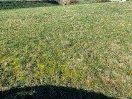 terrain constructible viabilisé à vendre