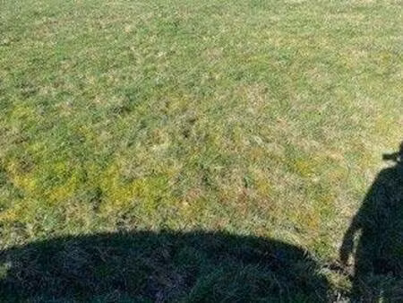 terrain constructible viabilisé à vendre