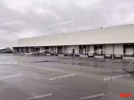 entrepôt à louer
