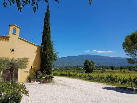 vente propriété 6 pièces 310 m² à mazan (84380)  2 120 000 €