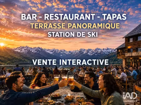 vente commerce 220 m² germ (65240)