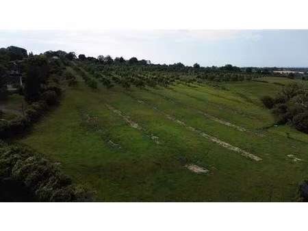 terrain constructible viabilisé à vendre