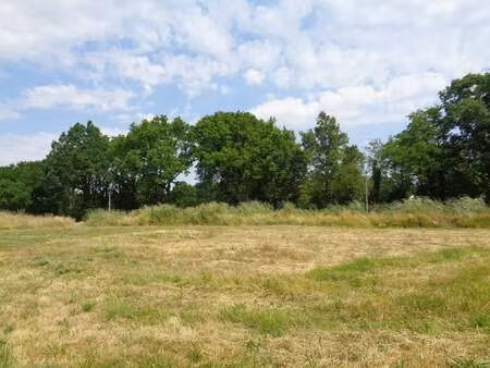 vente terrain à pont-saint-martin (44860) : à vendre / pont-saint-martin