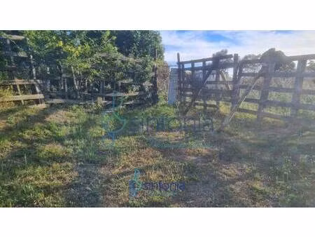 terrain champêtre/forestier à vendre