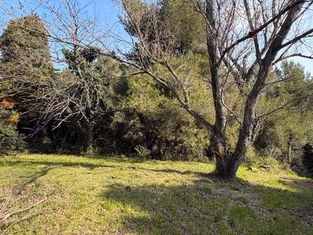 terrain constructible à vendre