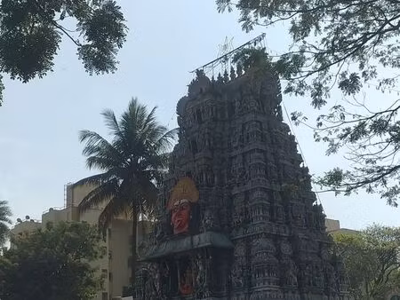 achat maison avec vue