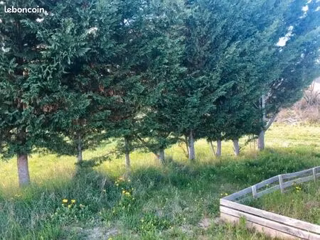 terrain / jardin à 5 mns de laragne