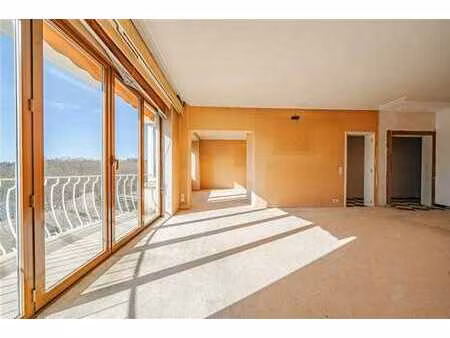 chien vert - vue ++ - magnifique appt à rénover !