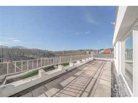 chien vert - duplex/penthouse - vue unique !