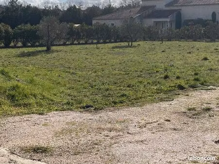 terrain constructible