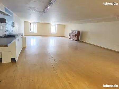 loft 100m2 usage mixte