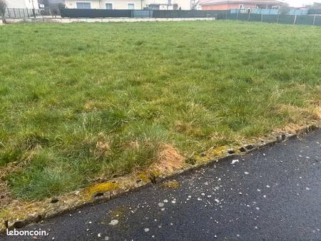 terrain constructible sain bel