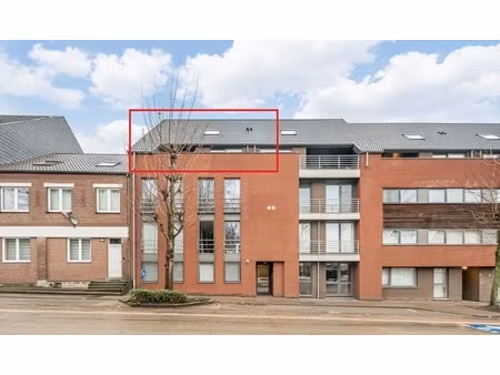 lichtrijk & instapklaar duplex-appartement nabij genk-centrum