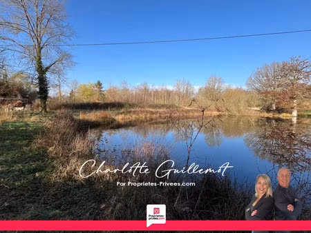 vente terrain 10895 m² à langon-sur-cher (41320)  23 990 €