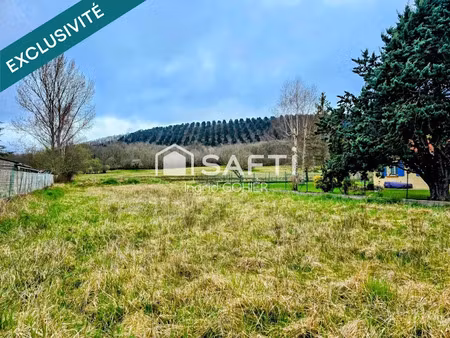 vente terrain 2647 m² à laroque-d'olmes (09600)  25 000 €