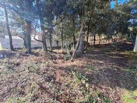 vente terrain 794 m² à la tranche-sur-mer (85360)  199 800 €