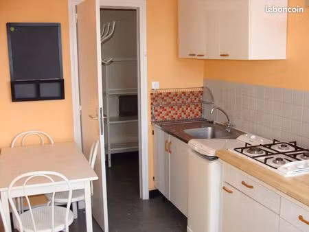 loue f1 bis très lumineux à 5 minutes à pied de jaude