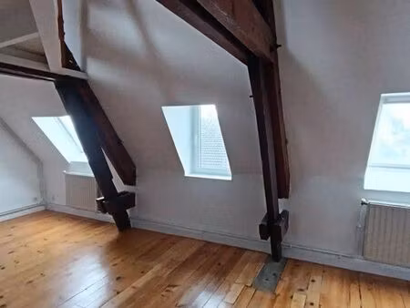 duplexe chaleureux de 55m2