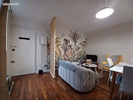 appartement meublé 2 pièces centre ville