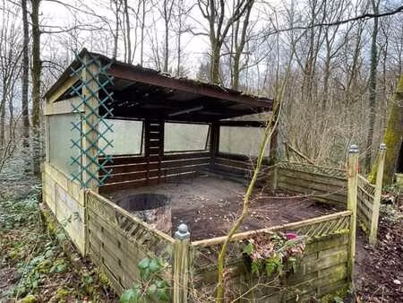 maison 1 ch. à viroinval - cadre verdoyant (45)