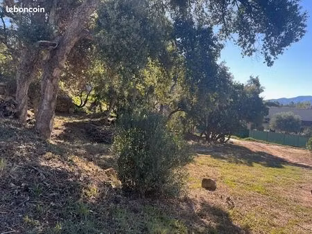 terrain 1 200 m² vidauban