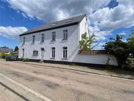 magnifique maison + triplex ! localisation idéale