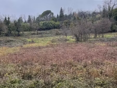 terrain constructible de 2384m²