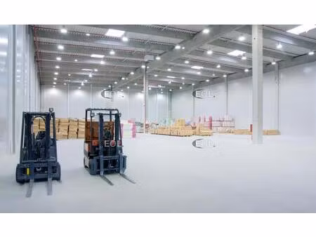 local d'activité avec bureaux de 634 m² à vendre - collégien (77)