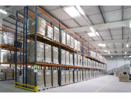 a louer - entrepôt avec bureaux de 6 863 m² à lognes (77)