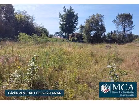 terrain à bâtir à narrosse (40180)