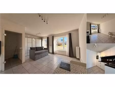 studio à louer à rue jean de dampierre 8 jambes (vbd92476)