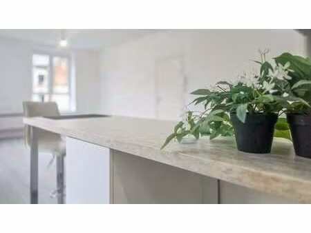 bel appartement remis à neuf