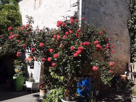 vente a ne pas manquer