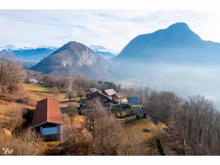 vente local industriel mieussy (74440)