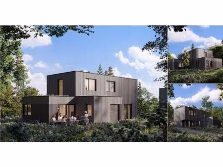 maison à vendre avec 5 chambres   maaseik (rbv37792)