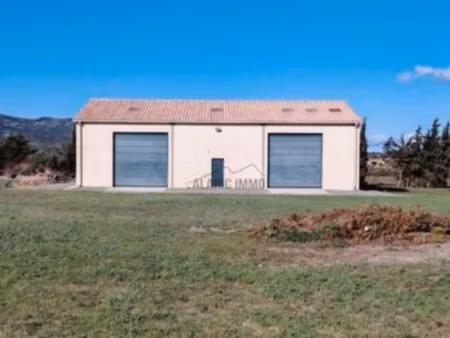 hangar 300 m² – stockage / entreposage – caves (11510)