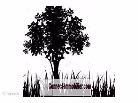 terrain 1 375 m² douchy les ayette