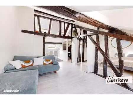 loft 2 pièces 45 m²