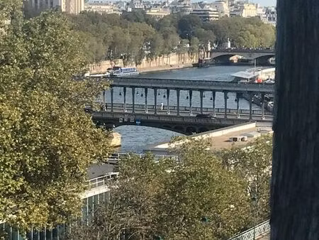 très bel appartement avec vue exceptionnelle sur la seine