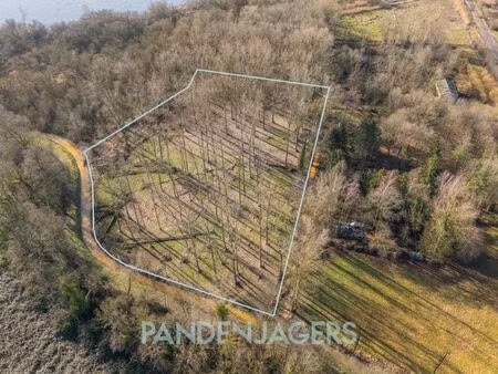 terrain à vendre à walem € 80.000 (llizw) - pandenjagers | zimmo