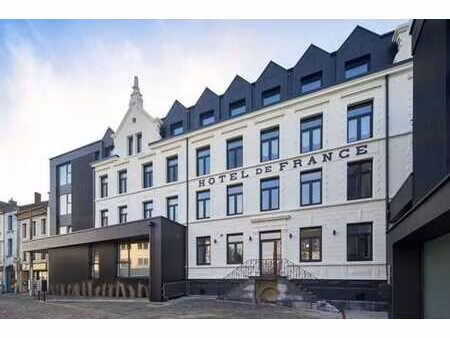 trevi luxembourg 1ch  sdb  terrasse et jardin  cave  2 pkgs