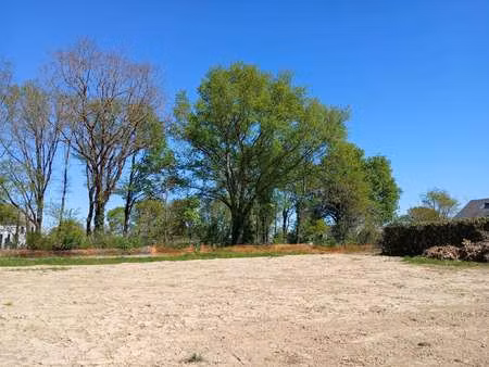 vente terrain à treillières (44119) : à vendre / treillières