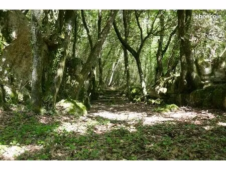 terrain agricole et de loisirs