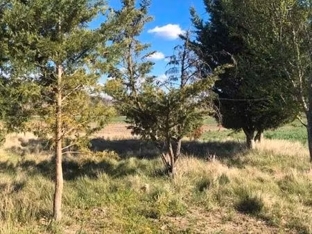 jardin / terrain 800 m2