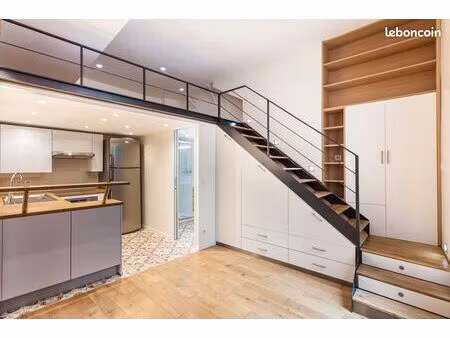 appartement génial paris 1er