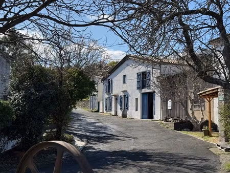 domaine grand guilhem & la maison des vendangeurs : signature bio de référence en corbière