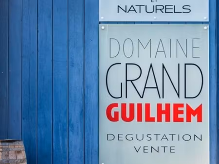 domaine viticole bio clé en main – maison de caractère & chai (corbières)